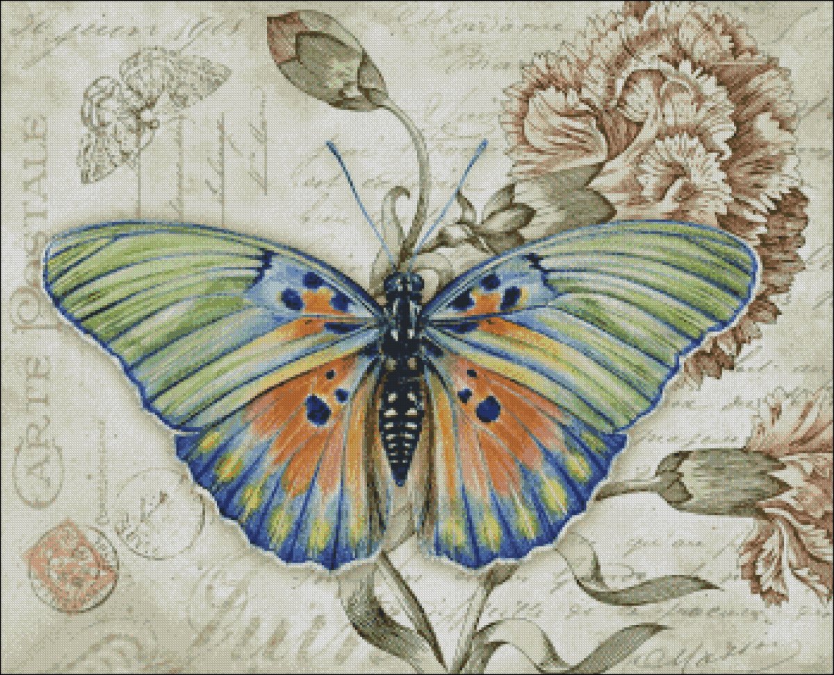 Художница Jane Shasky. Бабочки.