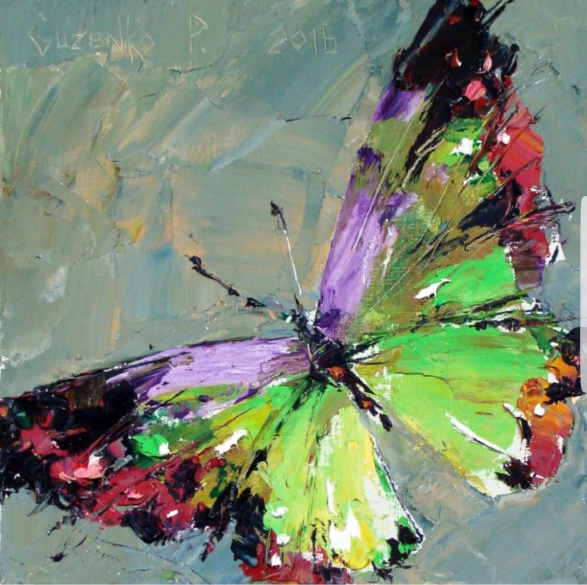 Павел Гузенко бабочки