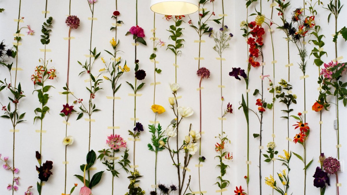 Орнамент ар деко в интерьере