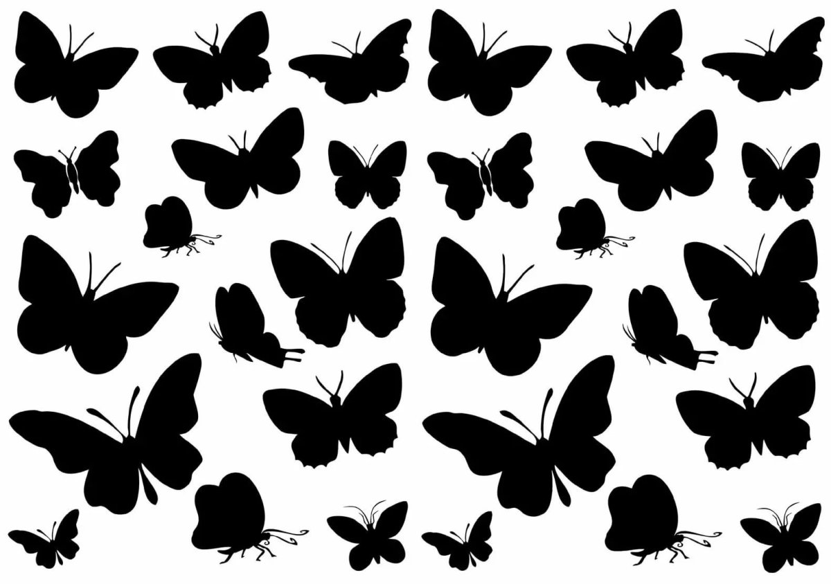 Трафарет бабочки на стену