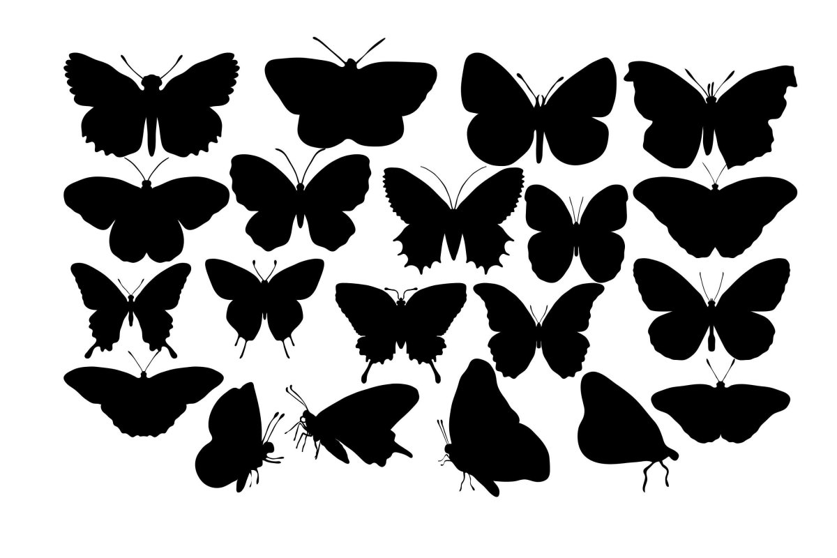 Силуэт бабочки для аппликации
