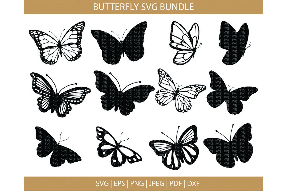 Векторные реалистичные бабочки шаблон