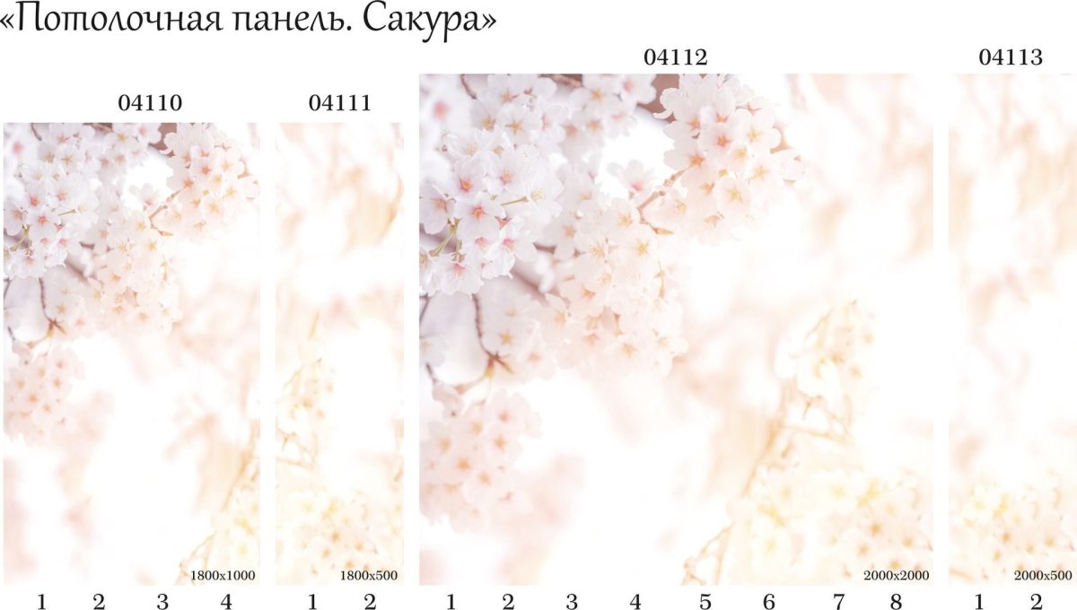 Peach Blossom illustration