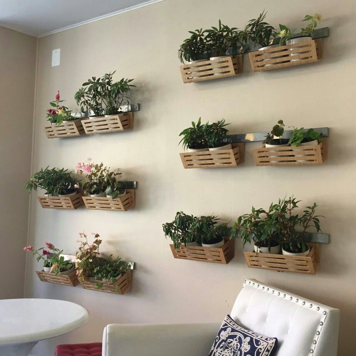 Полки соты с растениями