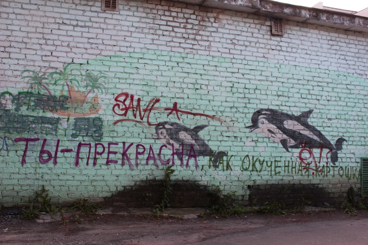 Фанатские надписи на стенах