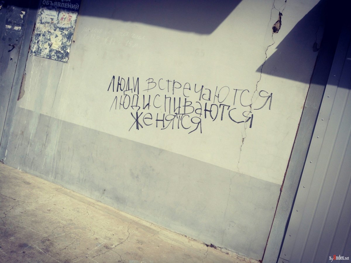 Фразы на стену