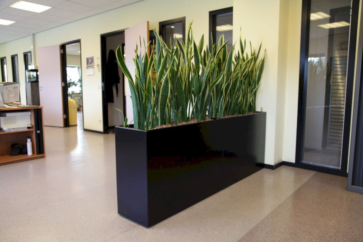 Композиции для офиса