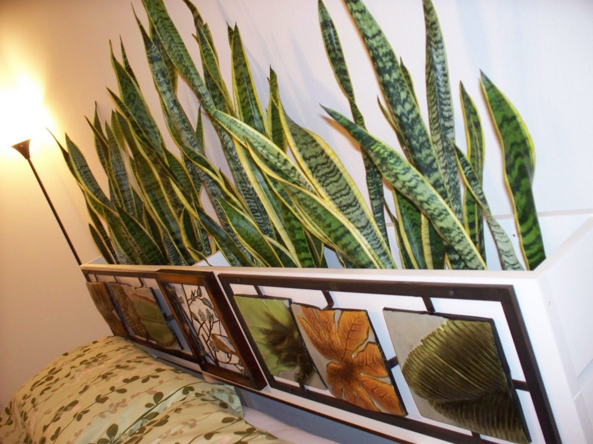 Перегородка из зелени