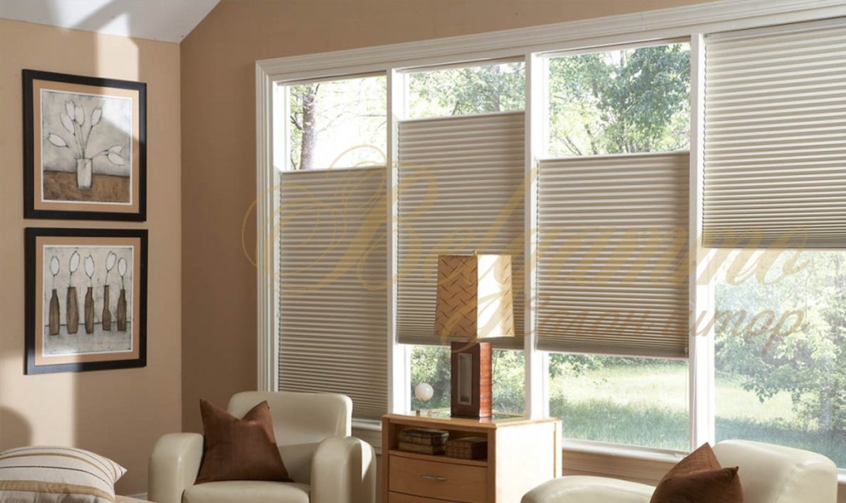 Штора плиссе Эскар Blackout