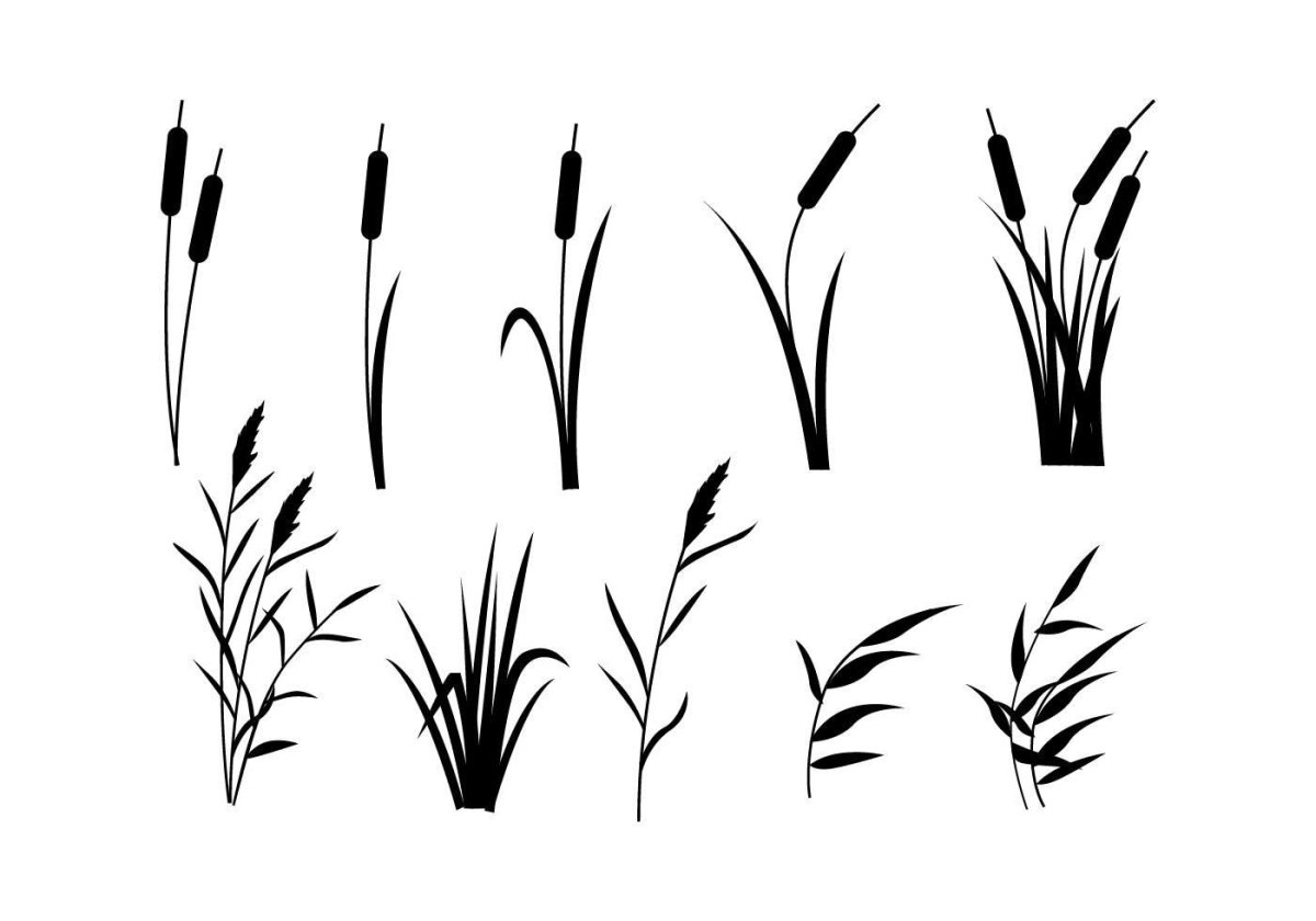 Стена из тростника