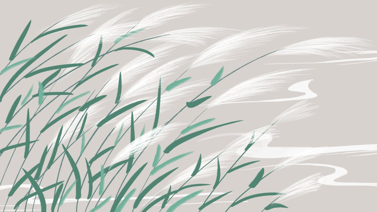 Камыш Озерный осенью