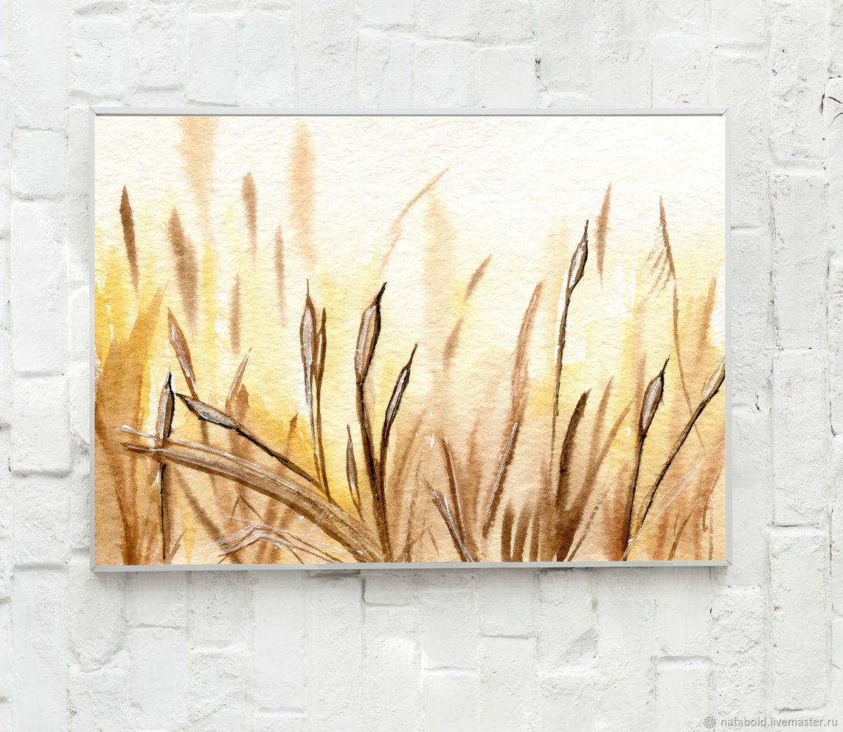 Камыш трава