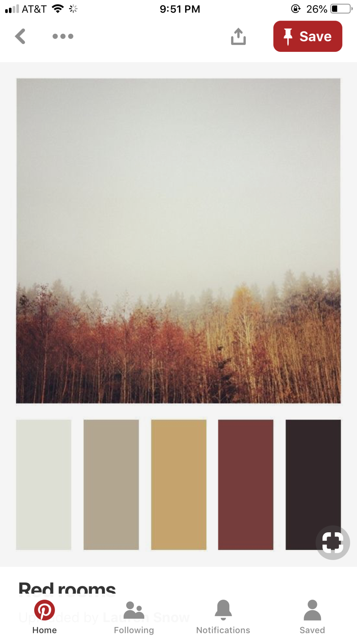 Палитра теплых цветов