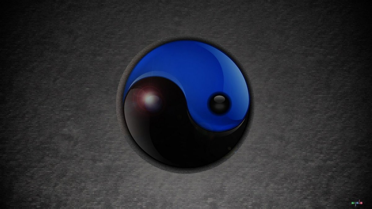 Тайцзи Инь Ян