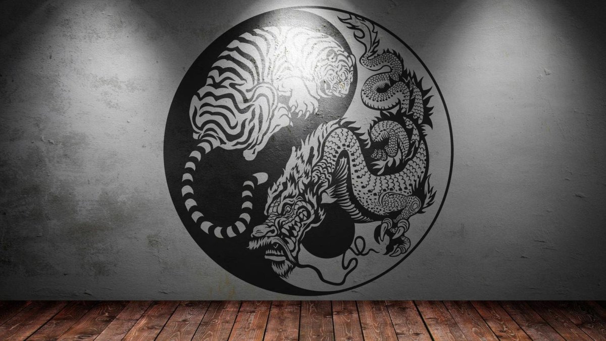 Инь Янь силуэт