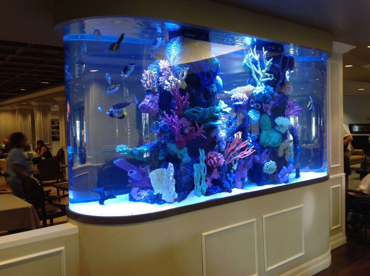 Морской аквариум в стене