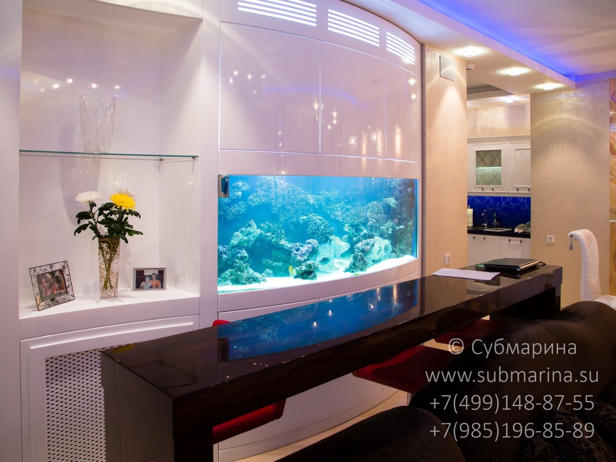 Аквариум встроенный в шкаф
