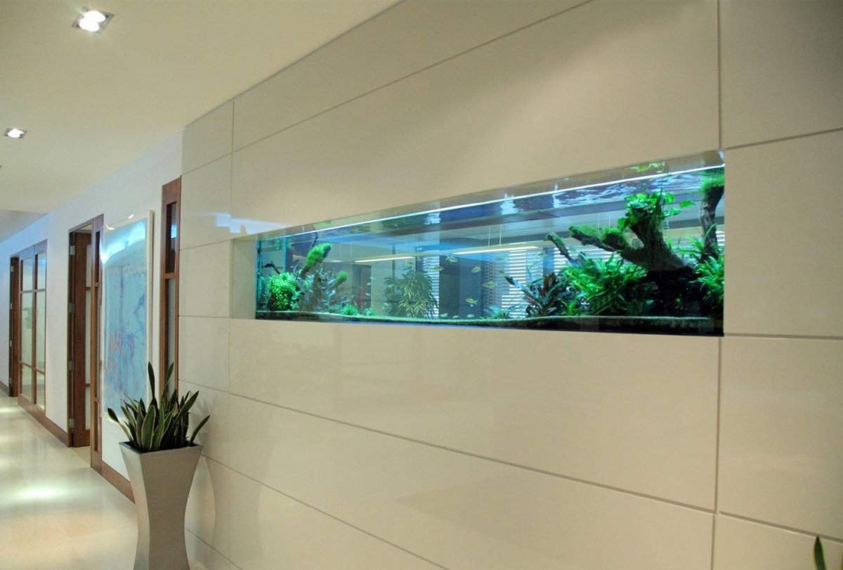Встроенные аквариумы в стену