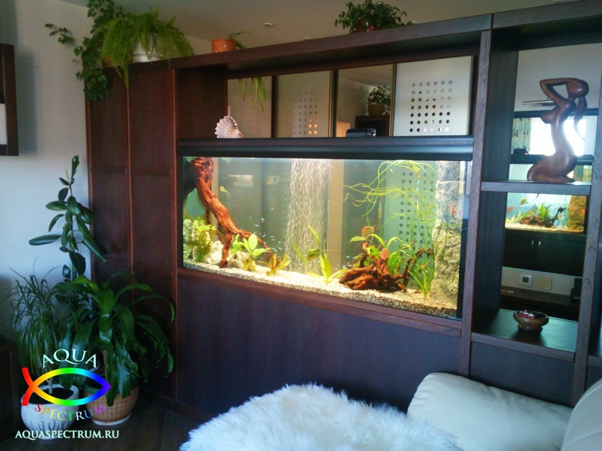 Аквариум под лестницей