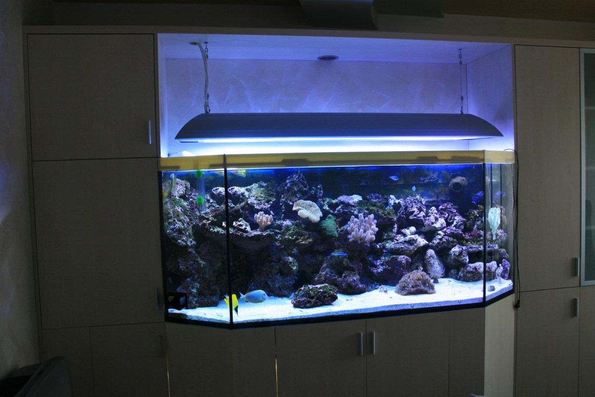 Тумба под аквариум 1200х500