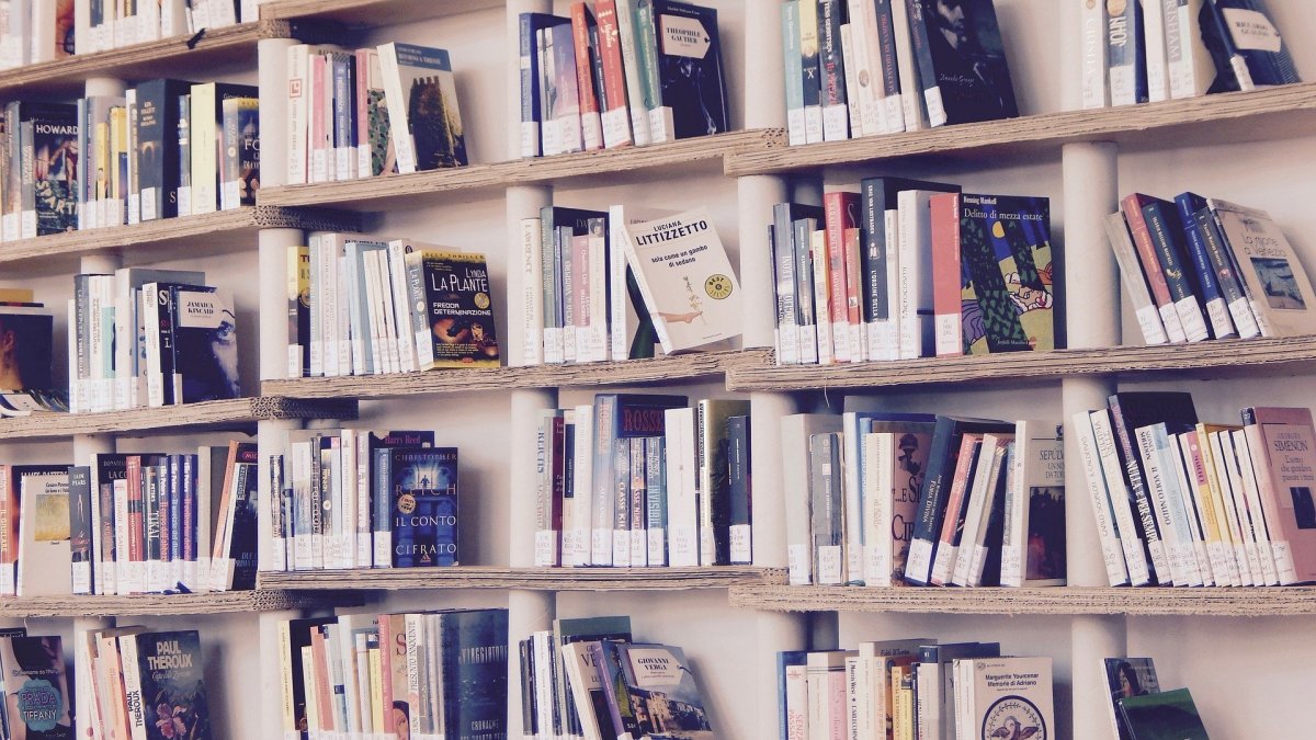 Книжная полка с книгами
