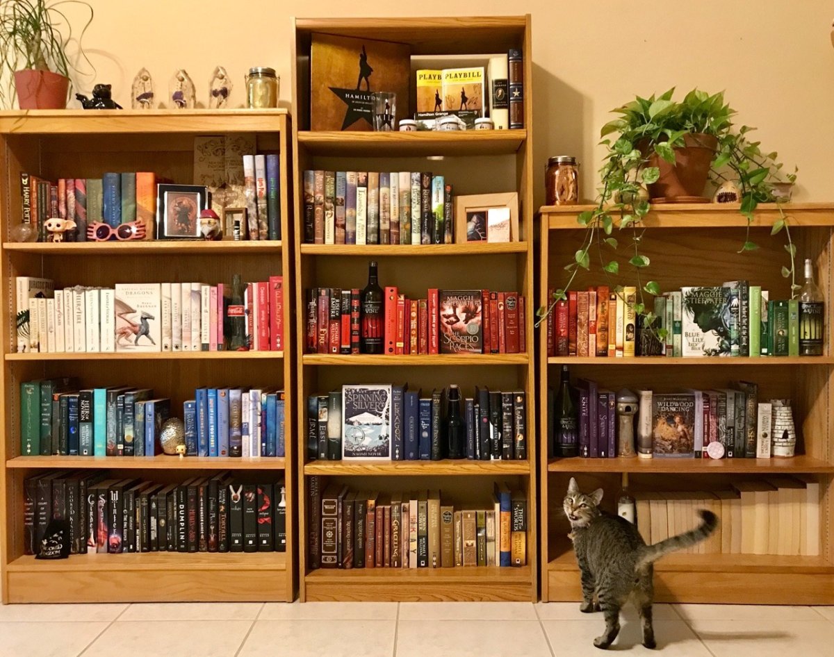 Расстановка книг на полках