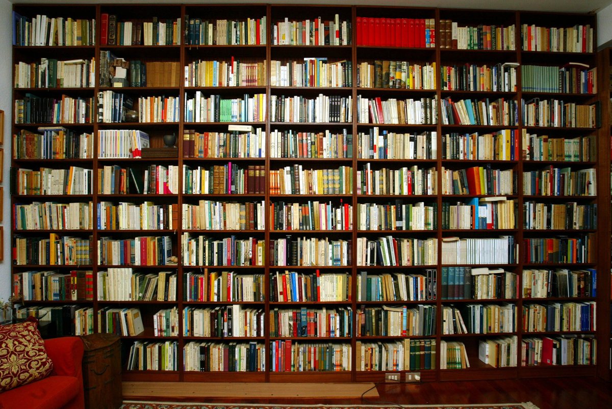Полки с книгами в библиотеке