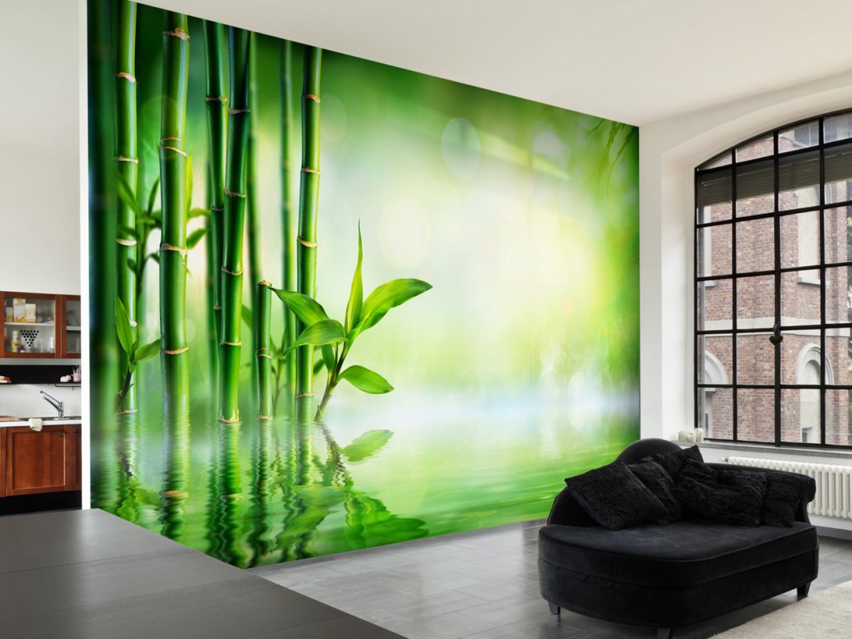 Натяжные стены с фотопечатью