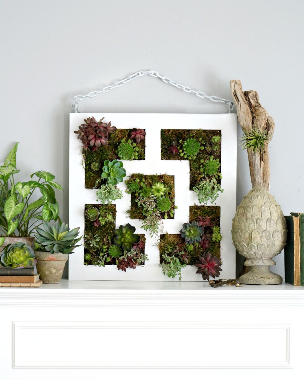 Wallgreen внутри