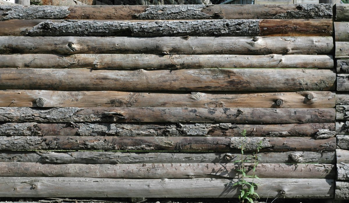 Жженое дерево