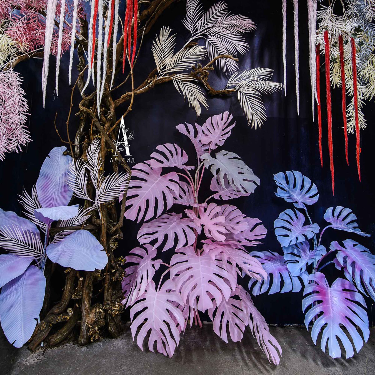 Мох ягель на стене