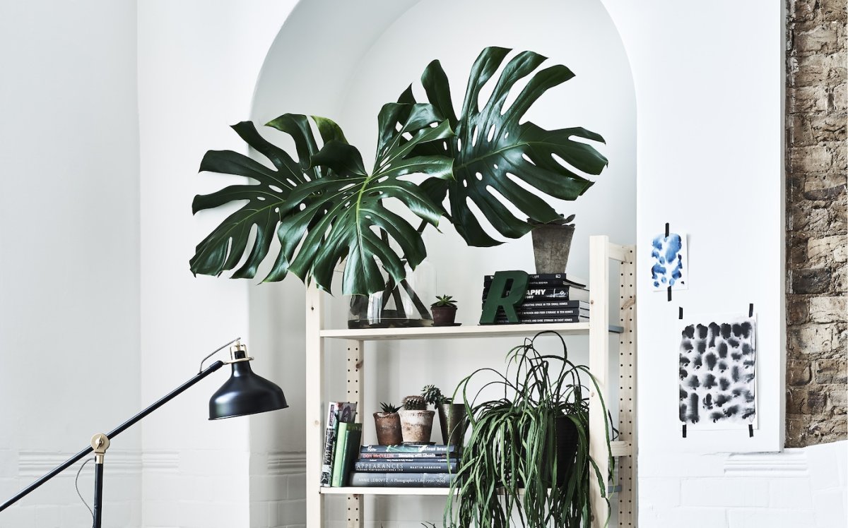 Фотозона с искусственными цветами