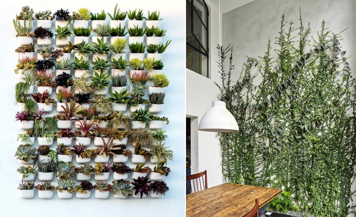 Декор комнаты растениями