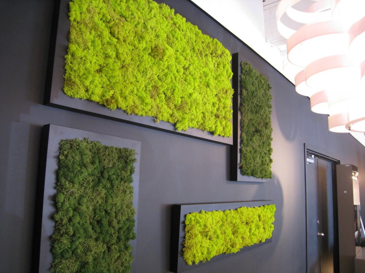 Сухоцветы в интерьере