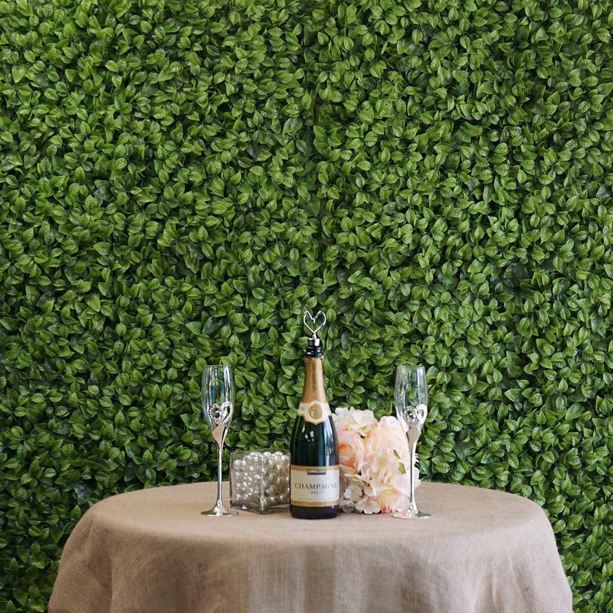 Ветки гинкго золотые