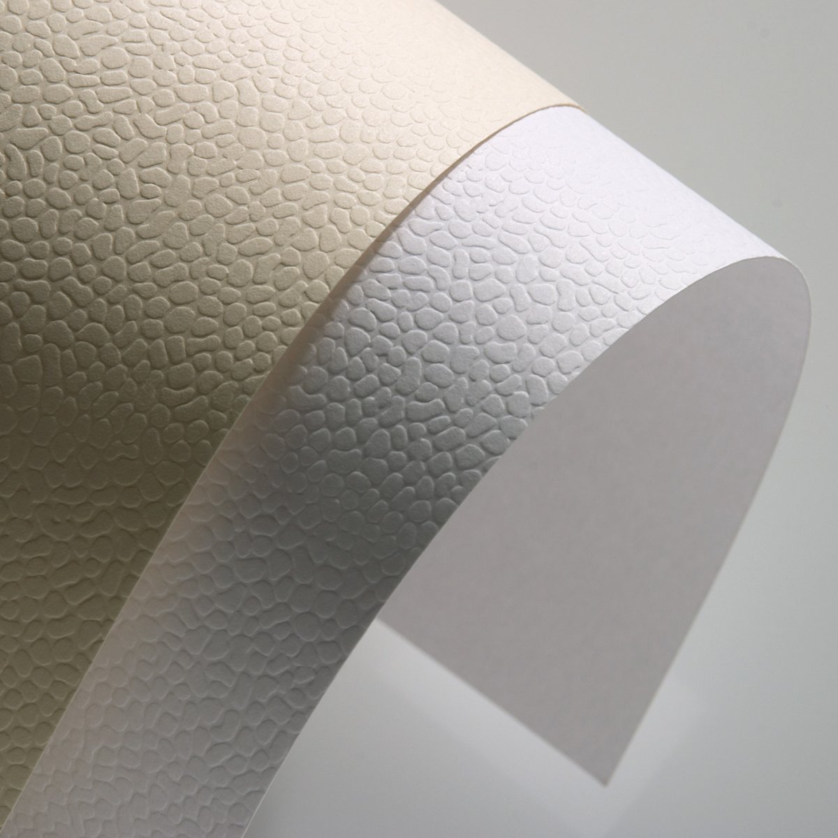 Дизайнерский картон Prestige 2s