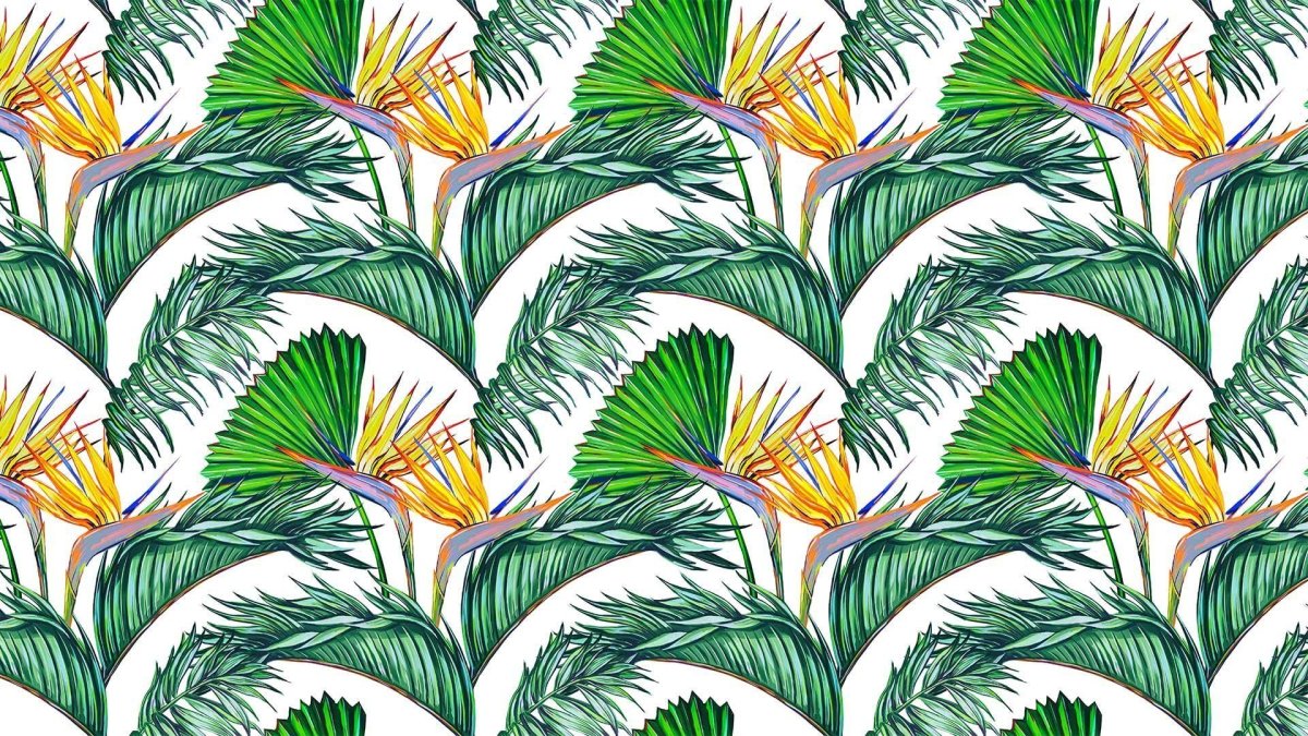 Alfresco Palm Leaf Wallpaper White Green Jungle Tropical 2744-24136