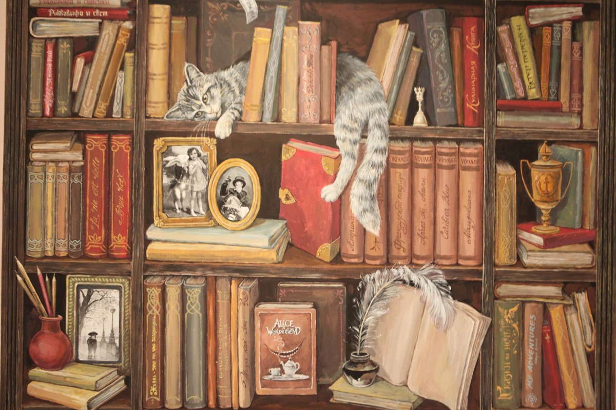 Пыльная полка с книгами