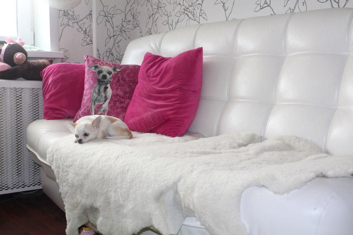 Овечья шкура на диван