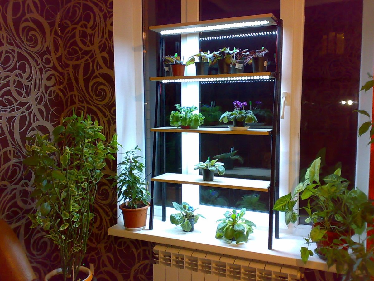 Стеклянная полка на стену