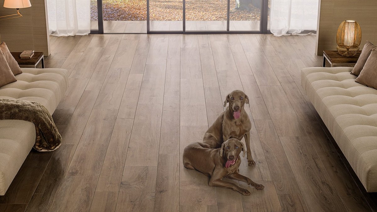 Про Феррум Керама Марацци