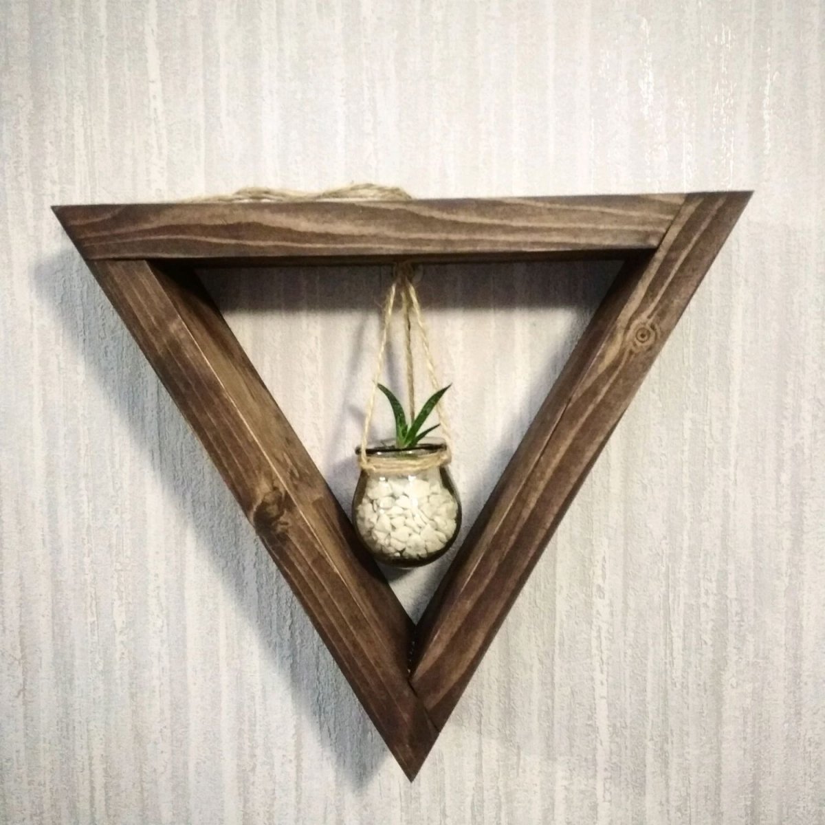 Камерплант Техас микс