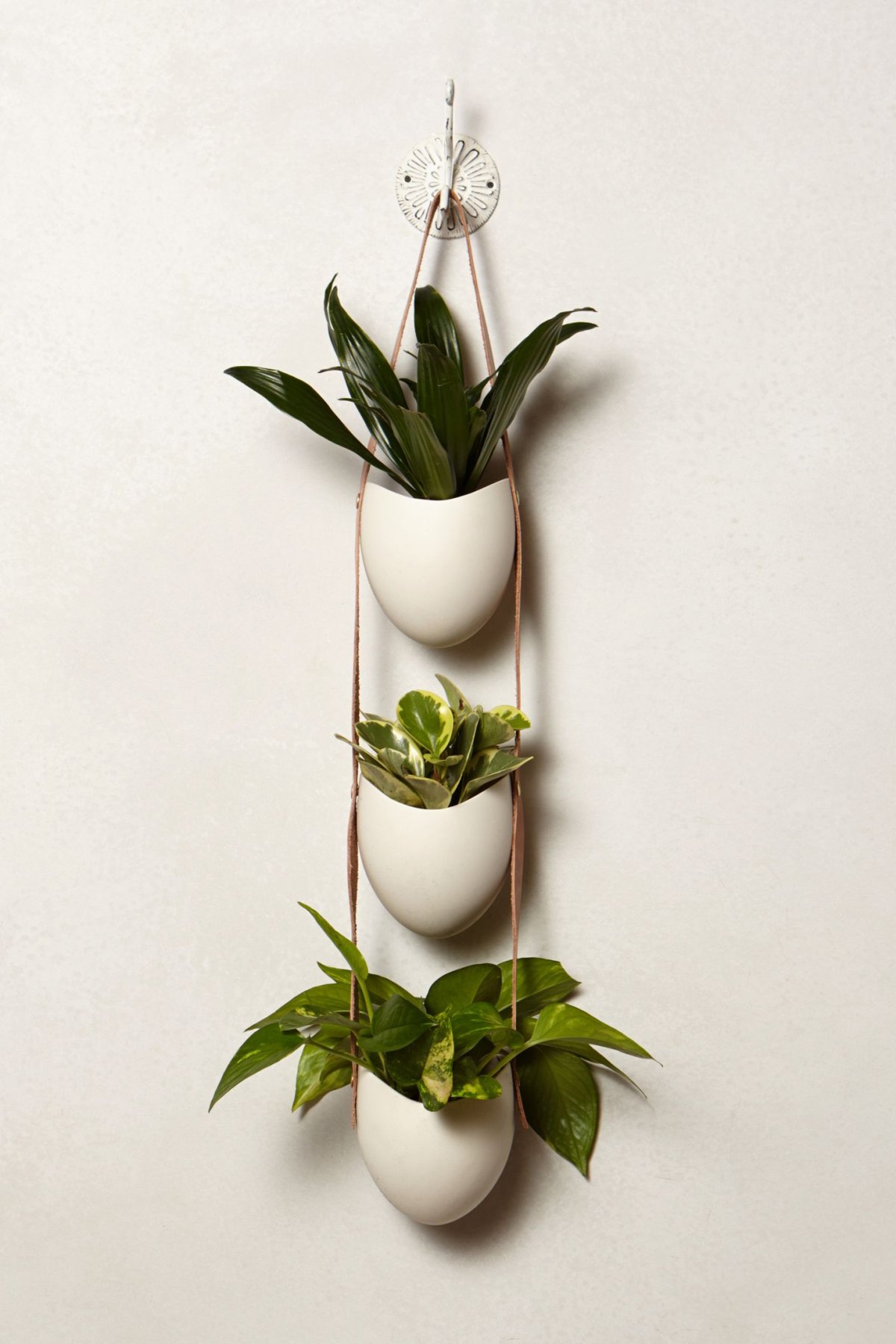 Настенные прямоугольные кашпо