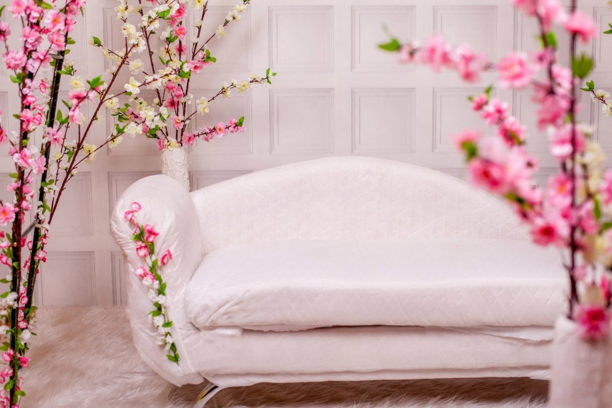 Диван интерьер фотостудия