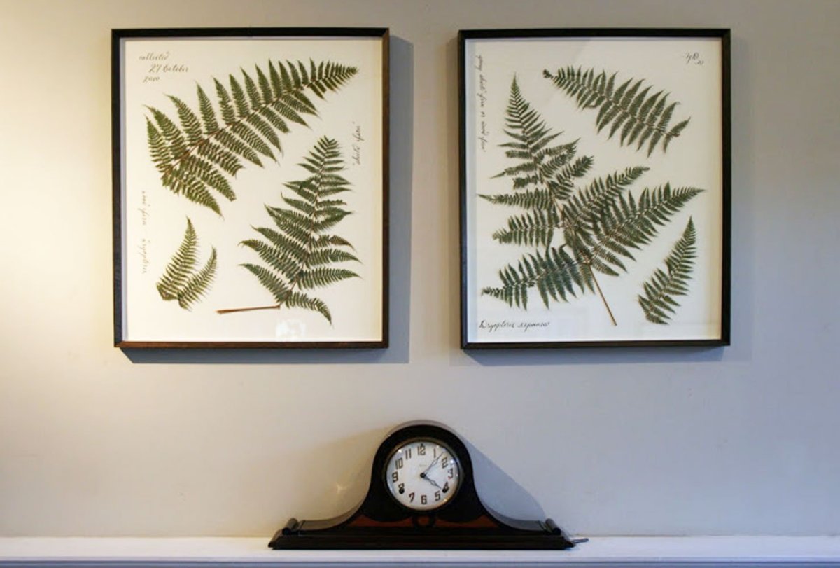 Гербарий в интерьере