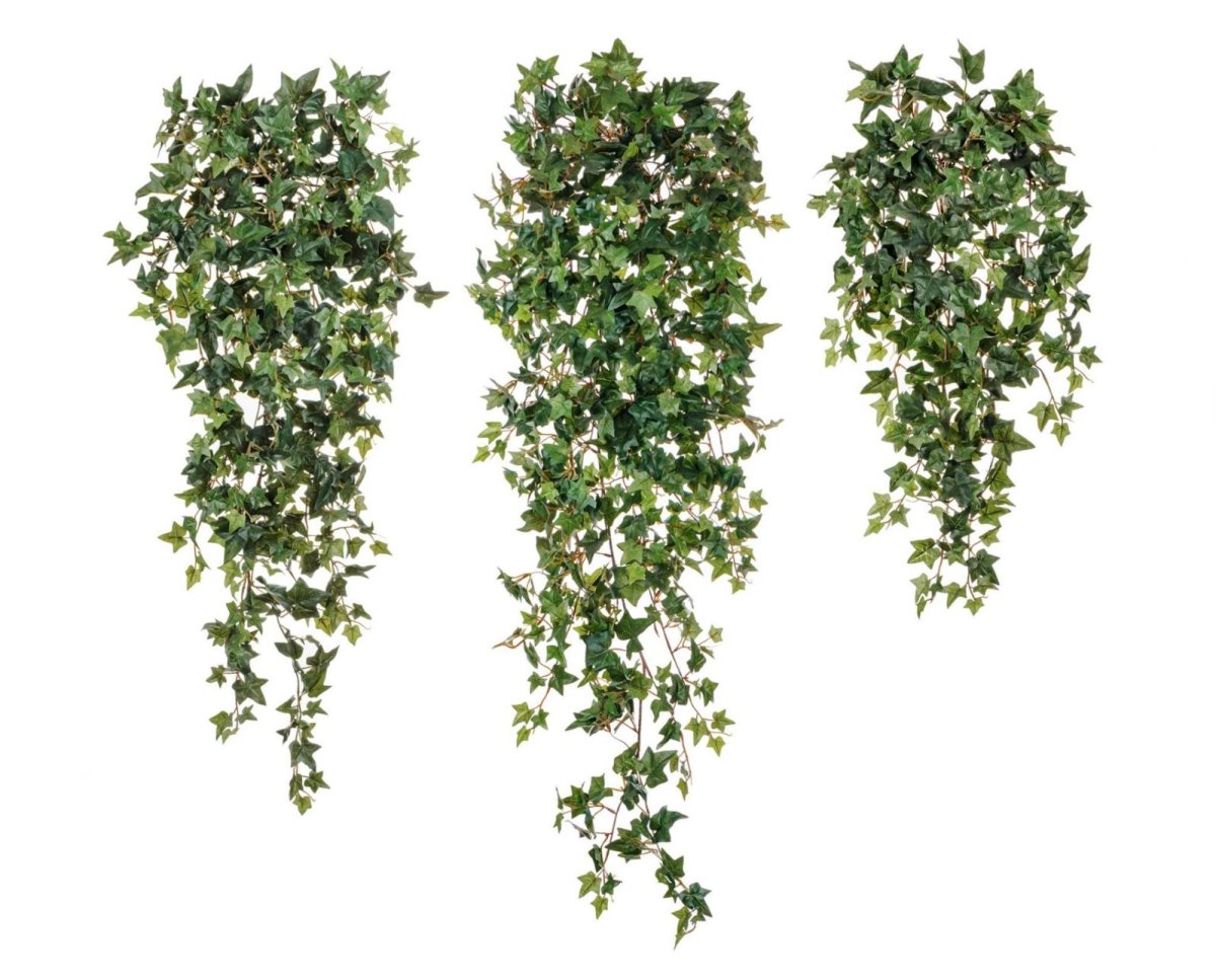 Фитостена мята