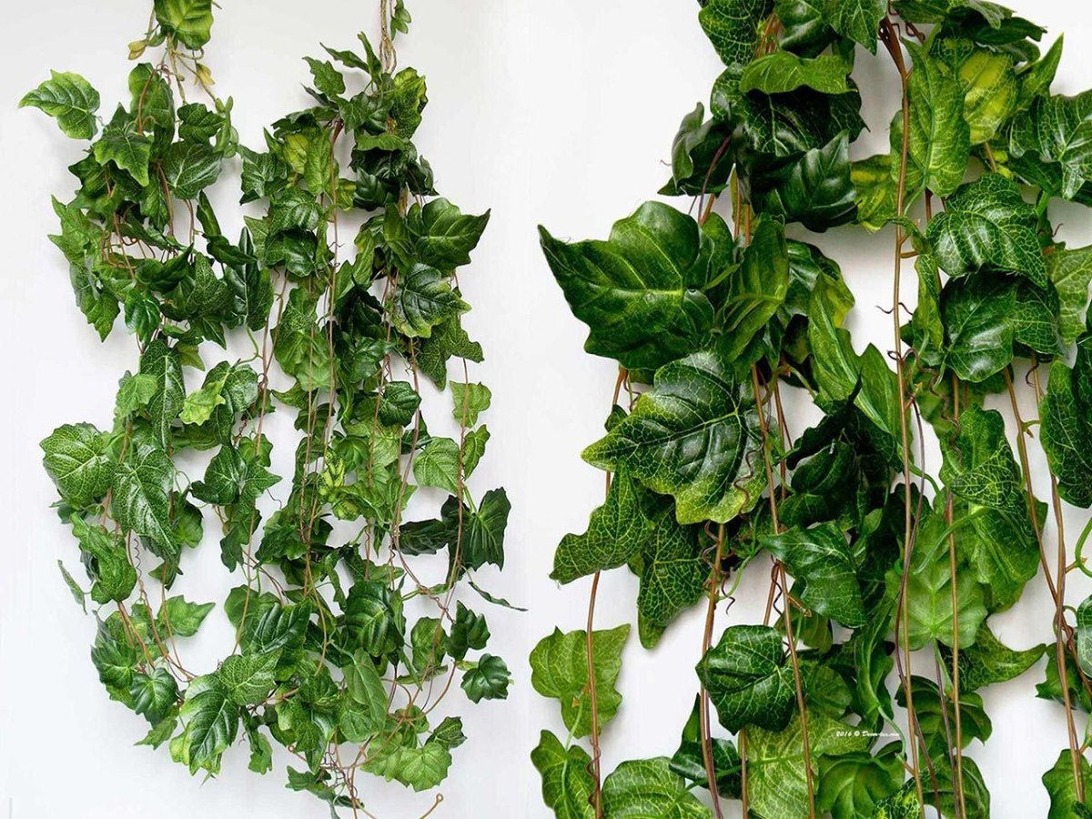 Зеленая фитостена