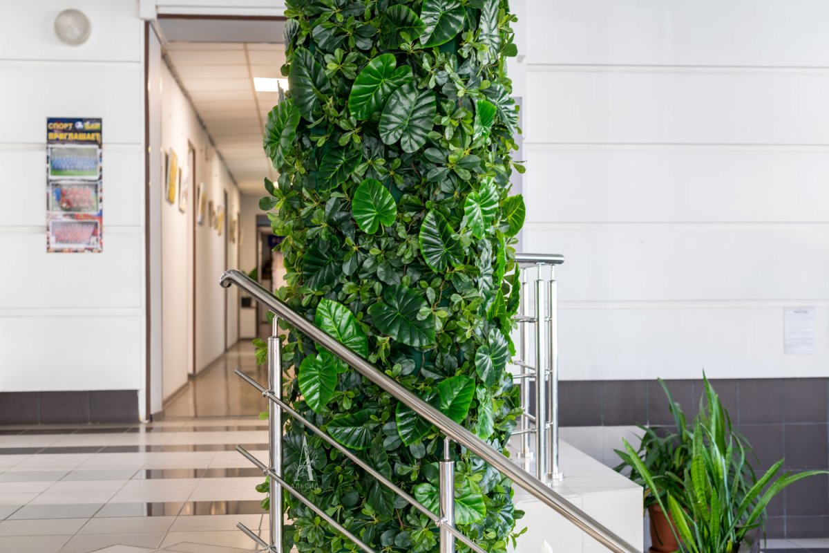 Комнатные растения на стене