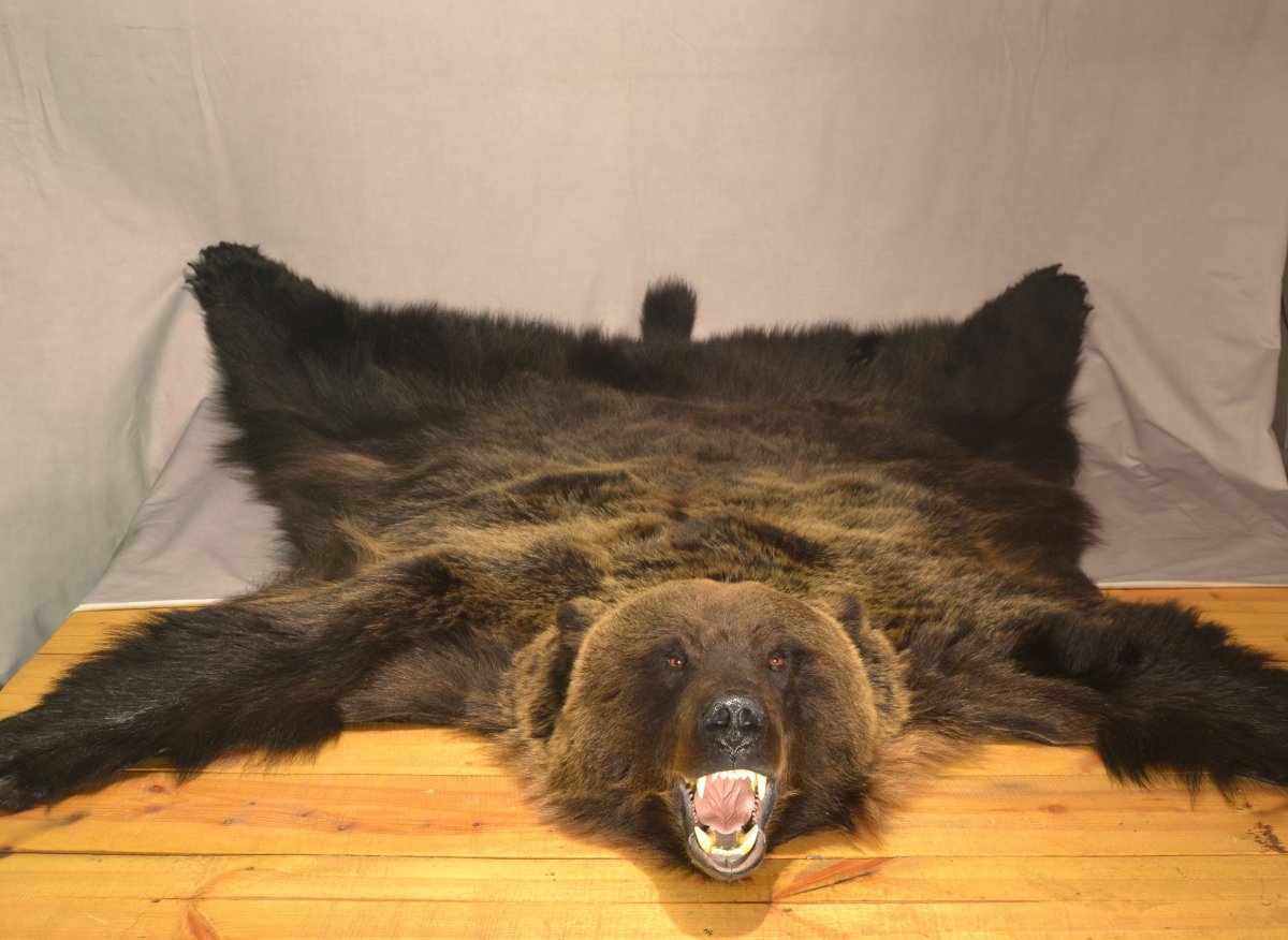 Шкура медведя