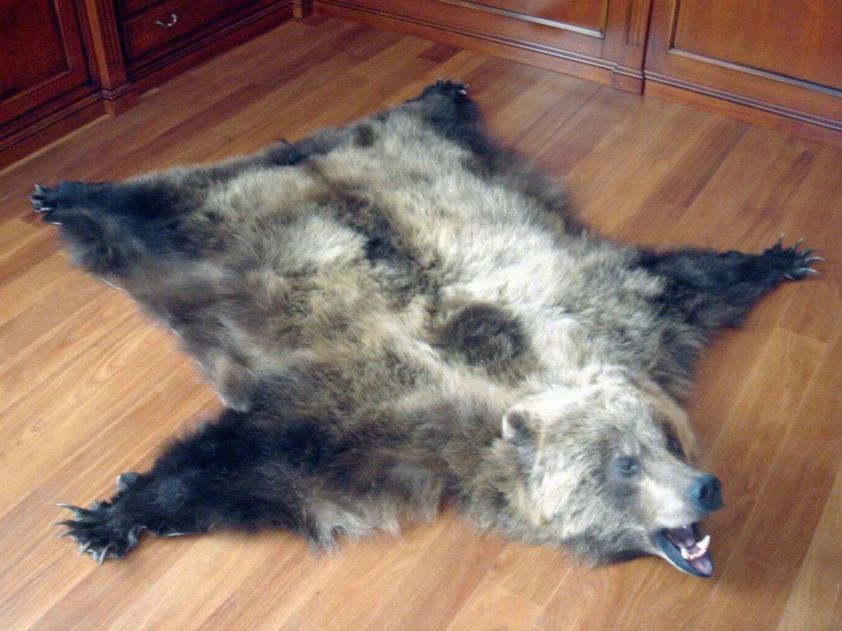 Шкура медведя белого 195х156 см